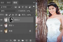 ps教程免费教程下载-求photoshop的全套视频教程,要百度云-大智网汇