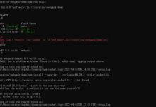 webpack教程视频教程-如何写一个webpack插件-大智网汇
