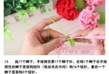 钩康乃馨教程详细教程-康乃馨钩针编织教程-大智网汇