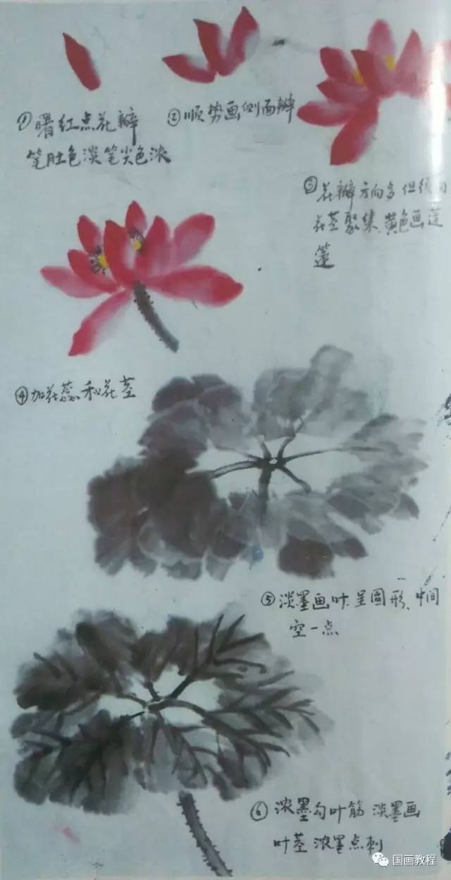 国画视频教程教程