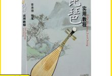琵琶教程视频入门教程-怎么学琵琶的基本方法-大智网汇