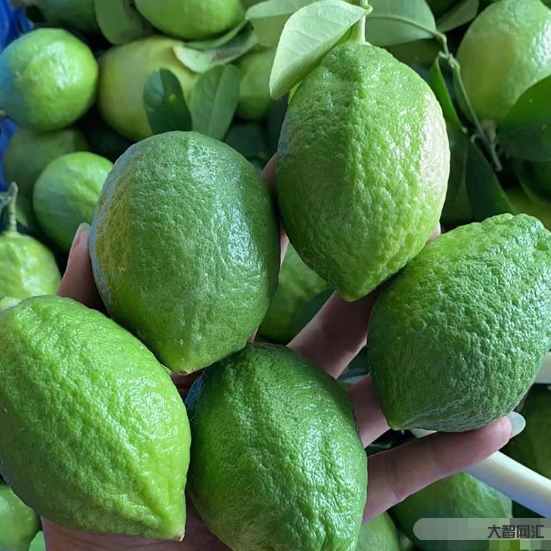 香水柠檬怎么吃