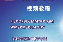 sap教程视频教程-网上哪里能找到SAP - ABAP的视频教程?-大智网汇