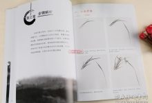 国画基础教程自学教程-零基础学国画入门教程是什么?-大智网汇