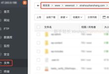 wordpress教程菜鸟教程网-我的wordpress网站,买了 c-大智网汇