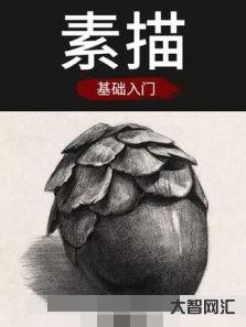 素描教程入门教程