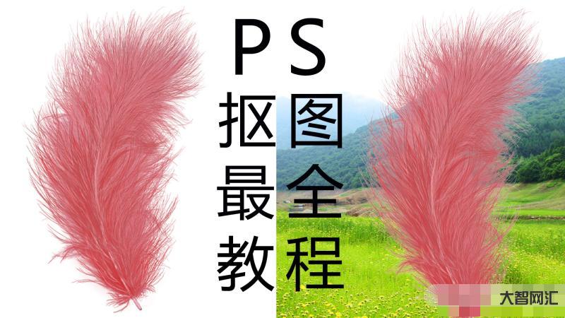 ps抠图教程详细教程