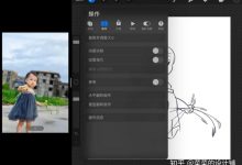 procreate教程教程-procreate怎么打开没有画布-大智网汇