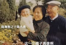 陈佩斯母亲感染新冠去世-小罗母亲因新冠去世,还有哪些明星在疫情中失去家-大智网汇