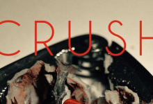 crush什么意思-crush什么意思网络用语-大智网汇