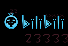 biibii-bilibili网站是什么意思啊?-大智网汇