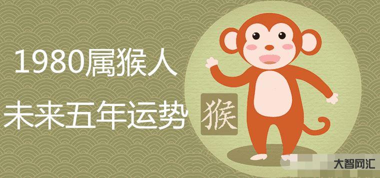 今年是什么年-今年是什么年啊?-大智网汇