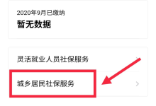 医保缴费怎么网上缴费-医保网上缴费如何操作-大智网汇