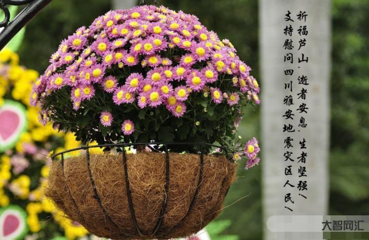 节哀顺变是什么意思