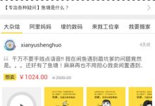 闲鱼网页版入口-网页版闲鱼怎么搜索-大智网汇