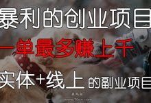 互联网暴利赚钱项目-推荐十种网络赚钱方式,总有一个适合你!-大智网汇
