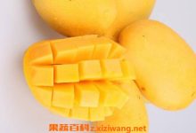 芒果不能和什么一起吃-芒果不能和什么食物一起吃? 详细_0_3-大智网汇