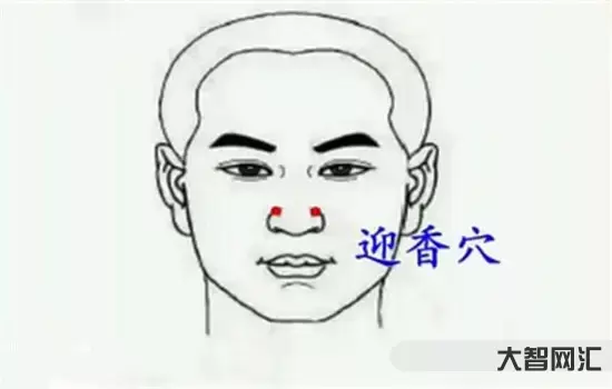 鼻子不通气怎么办速效办法