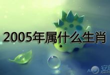 2023年属什么生肖-2023年是什么年生肖-大智网汇