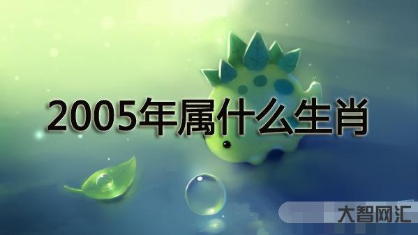 2023年属什么生肖