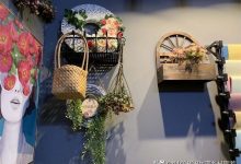 张家口卖多肉的市场-张家口卖多肉这都可以,-大智网汇