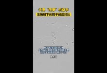 夫妻阳康后着急备孕遭劝阻-夫妻备孕需要注意事项多吗,怎么做能怀上?-大智网汇