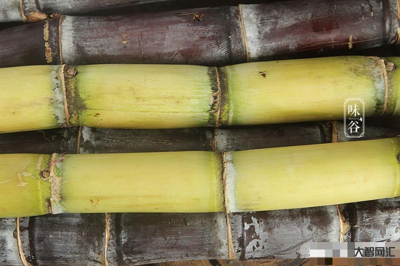 甘蔗的功效与作用是什么-甘蔗的功效与作用-大智网汇