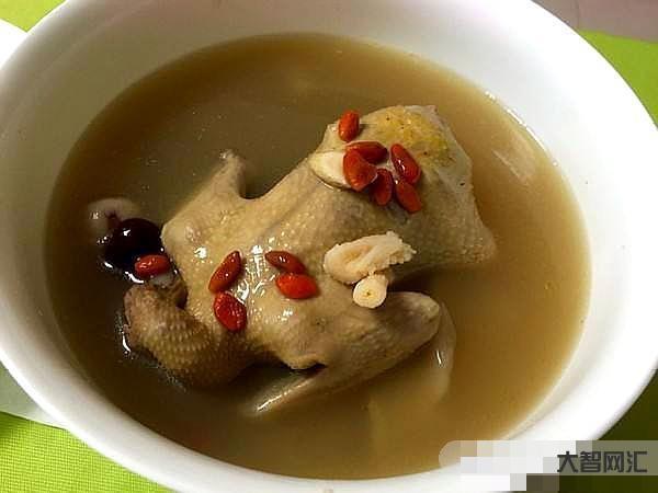 鸽子汤怎么炖好喝又营养