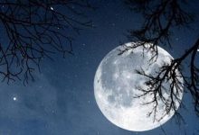 白月光是什么意思-男人的白月光是什么意思?-大智网汇
