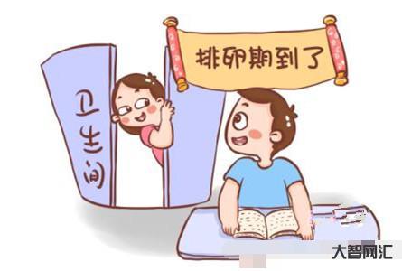 排卵期怎么算才最准确