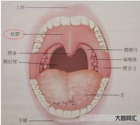 喉咙感觉有东西堵着是怎么回事