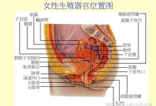 男生插到子宫什么感觉-用手插进去搞,这样子宫会受伤吗-大智网汇