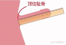 丁丁周长怎么测-丁丁平均有多长-大智网汇