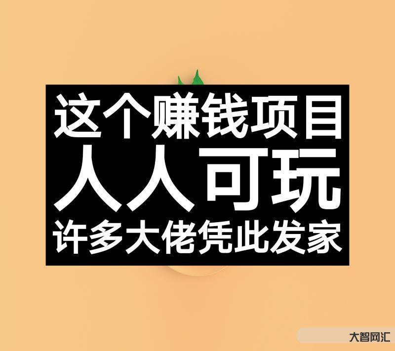 网络赚钱的有什么项目啊