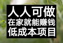 真实的网上赚钱项目-网上靠谱兼职有哪些?-大智网汇