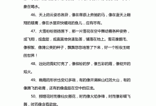 什么像什么造句-什么像什么造句二年级-大智网汇