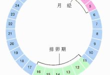 排卵期是什么时候-请问同房后马上就吃了紧急避孕药管用吗?-大智网汇