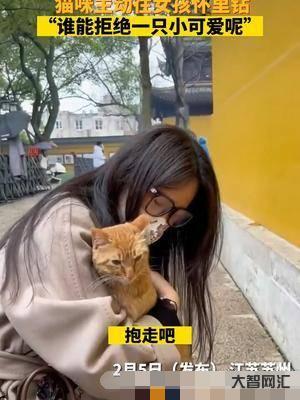 谁能拒绝主动趴怀里呢