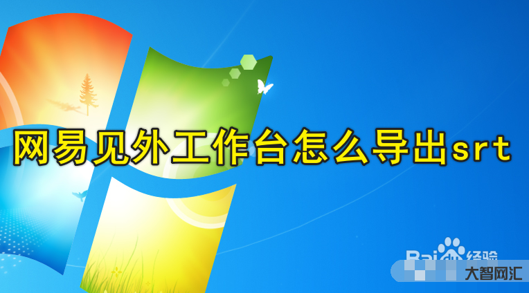 网易见外
