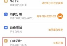 京东白条是什么意思-京东的打白条是什么意思?-大智网汇