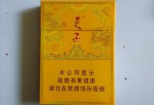 天子香烟多少钱一包-天子壹号香烟有细支吗-大智网汇