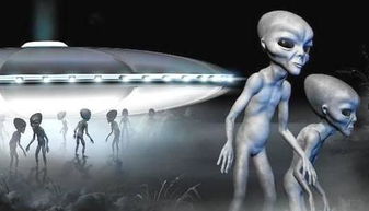 请问有人知道上海外星人电脑总店在哪?要找ALIENWA