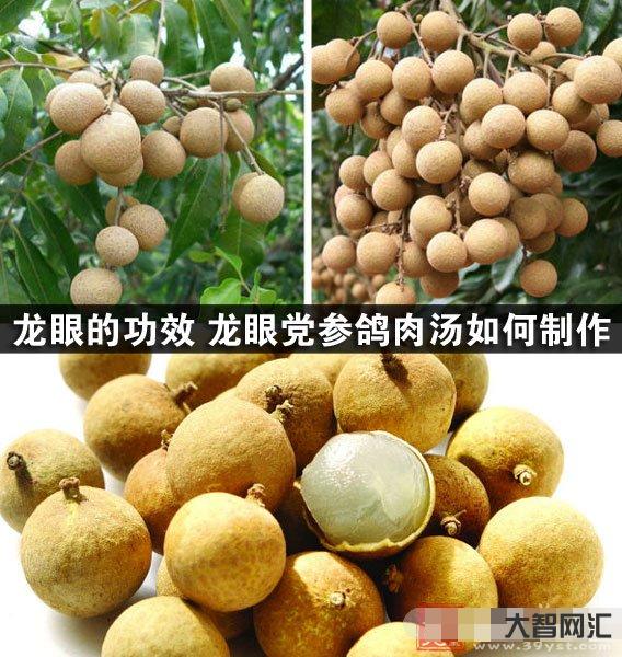 龙眼的功效与作用
