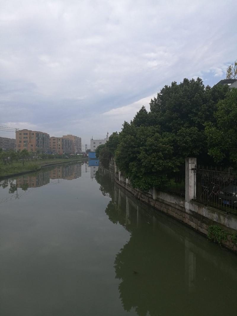 温州天气