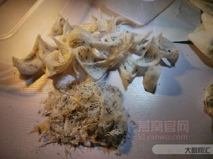 燕窝是怎么形成的