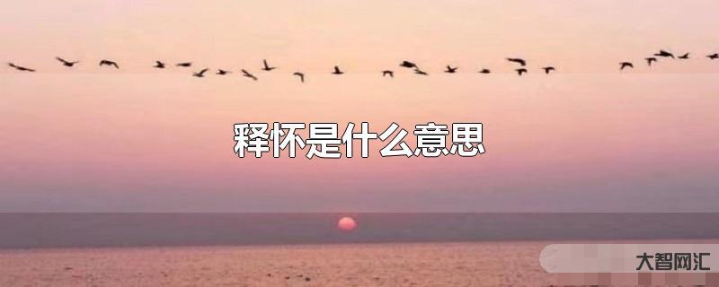 3、释怀是什么意思?