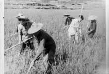 20世纪50年代是哪一年-20世纪50年代是几几年-1950年代是几几-大智网汇