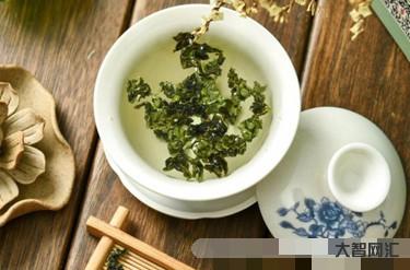 铁观音属于什么茶