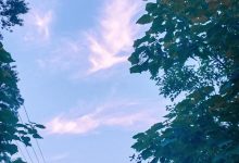 二十届二中全会公报公布-债市早报:中共中央政治局召开会议决定召开二十届-大智网汇