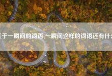 又什么又什么的词语-又什么又什么的词语有哪些-大智网汇